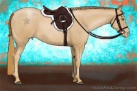 Horse Color:Chestnut Pearl 