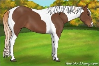 Horse Color:Chestnut Tobiano