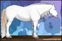 Horse Color:Gold Champagne Near Leopard and Gold Champagne Near Leopard Rabicano