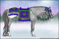 Horse Color:Black Appaloosa