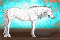 Horse Color:Chocolate Palomino Snowdrop Sabino Tobiano Near Leopard Rabicano