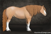 Horse Color:White Spotted Bay Pearl Sabino Rabicano 