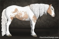 Horse Color:White Spotted Silver Brown Pearl Splash Tobiano Rabicano