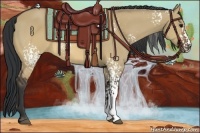 Horse Color:White Spotted Brown Dun 