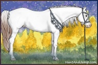 Horse Color:Chestnut Sabino Appaloosa