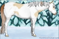 Horse Color:Red Dun Roan Splash Tobiano Frame 