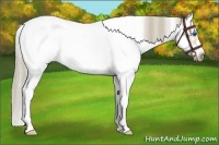 Horse Color:White Spotted Liver Red Dun Splash Frame 