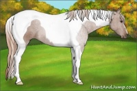 Horse Color:Chestnut Tobiano 