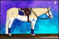 Horse Color:Palomino Splash 