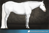 Horse Color:Silver Brown Dun Sabino Snowflake Varnish Rabicano Brindle 