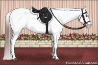 Horse Color:Grullo Roan Appaloosa