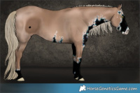 Horse Color:ERROR: UNKNOWN ANOMALY
