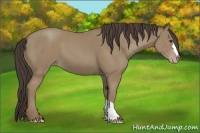 Horse Color:Classic Champagne 