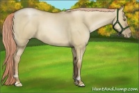 Horse Color:Liver Red Dun Roan Pearl 