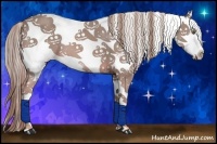 Horse Color:Watercolor Chestnut Sabino