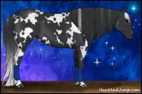 Horse Color:White Spotted Black 