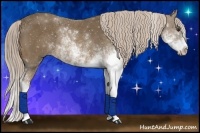 Horse Color:Chocolate Palomino Sabino 