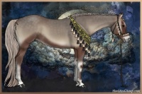 Horse Color:Silver Blue Onyx Sabino