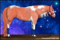 Horse Color:Watercolor Liver Chestnut Sabino Tobiano 
