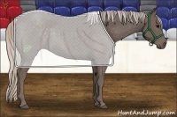 Horse Color:Silver Black 