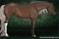 Horse Color:Silver Bay 