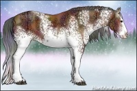 Horse Color:Nacre White Spotted Bay Ice Sabino Splash 