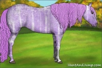 Horse Color:Watercolor Liver Chestnut Ice 
