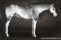 Horse Color:White Spotted Smoky Blue Onyx Chinchilla Sabino 