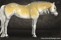 Horse Color:White Spotted Silver Smoky Blue Onyx 