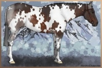 Horse Color:White Spotted Bay 