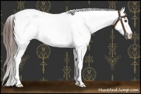 Horse Color:White Spotted Brown Dun Varnish 