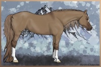 Horse Color:Liver Red Dun 