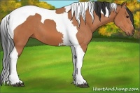 Horse Color:Bay Tobiano