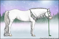 Horse Color:Silver Black Appaloosa Rabicano 