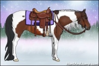 Horse Color:Bay Tobiano