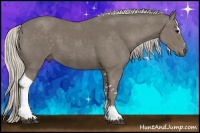 Horse Color:Silver Smoky Black Sabino Tobiano 