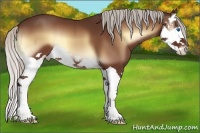 Horse Color:Silver Bay Onyx Splash