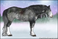 Horse Color:Brown Chinchilla Ice Sabino Rabicano