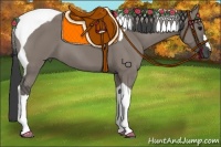 Horse Color:Grullo Tobiano 