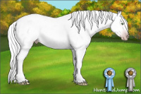 Horse Color:Gray Amber Champagne Sabino Splash Appaloosa 