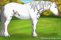 Horse Color:Grullo Ice Sabino Splash Tobiano Leopard 