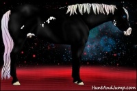 Horse Color:Nacre Watercolor Chestnut Splash Frame Appaloosa 