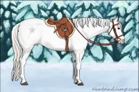 Horse Color:Silver Black Tobiano Appaloosa