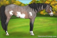 Horse Color:Brown Roan Frame 