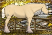 Horse Color:Palomino 