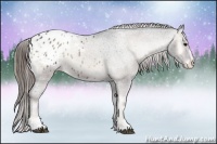 Horse Color:Smoky Blue Onyx Sabino Appaloosa 