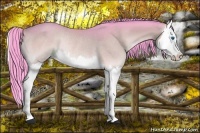 Horse Color:Watercolor Buckskin Onyx Splash Rabicano