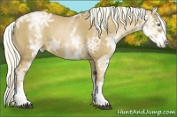 Horse Color:White Spotted Liver Red Dun Ice Pearl