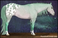 Horse Color:Watercolor Brown Dun Appaloosa Rabicano 