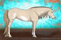 Horse Color:Perlino Roan Frame 